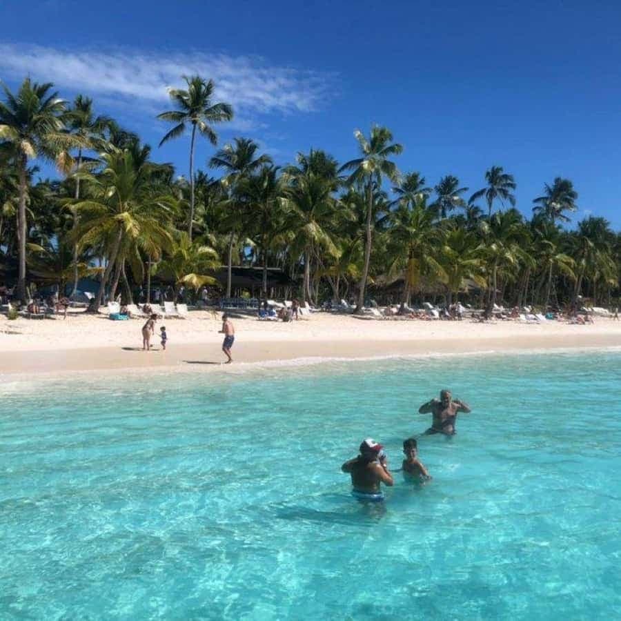 From Punta Cana: Saona Island Trip with Lunch