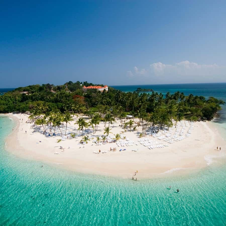 From Punta Cana: Sanctuary Whale Watching Day Trip