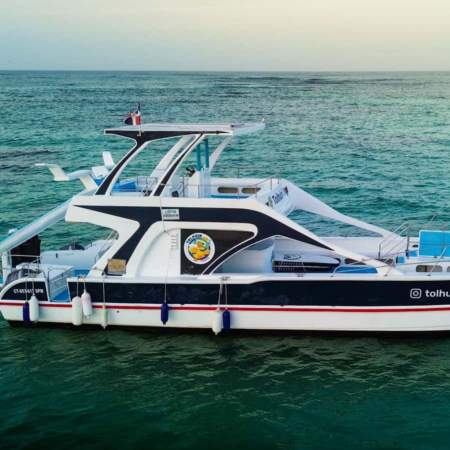 Punta Cana: Private Catamaran Cruise, Snorkeling & Open bar