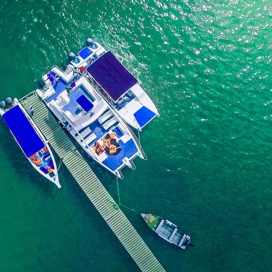 From Punta Cana: Samana Full Day Trip by Bus and Boat