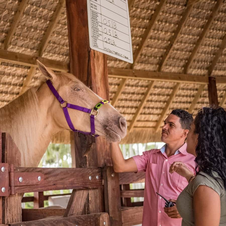 Eco Park Safari Adventure