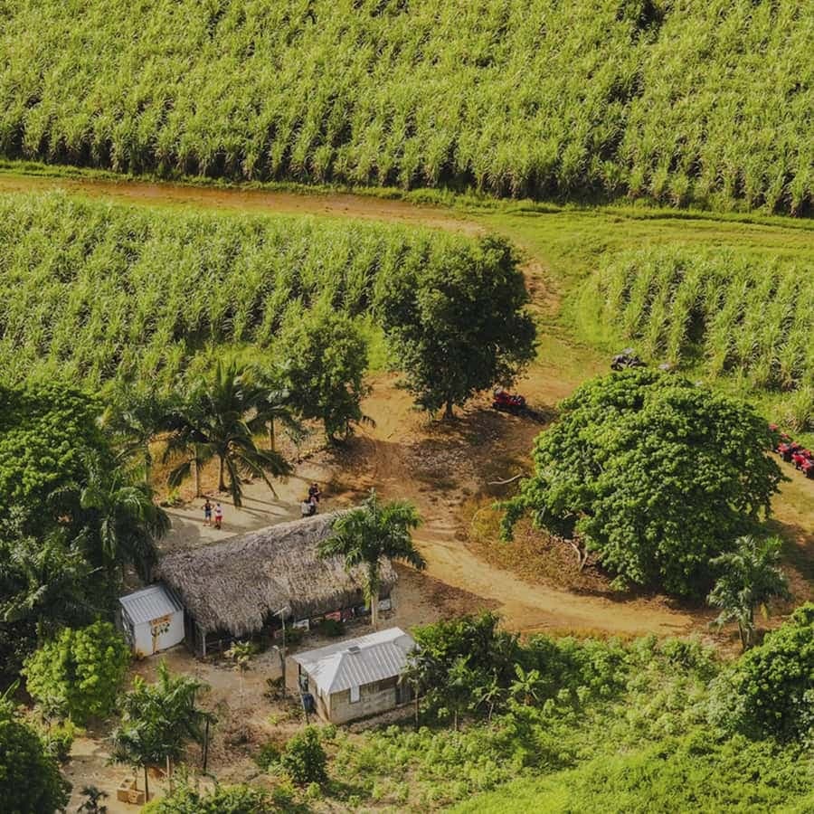 Bayahibe: ATV Tour with River Chavón and Local Tastings