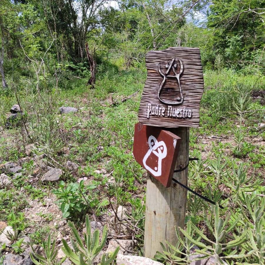 Bayahibe: National Park Jungle Walk & Snorkeling in Cenotes