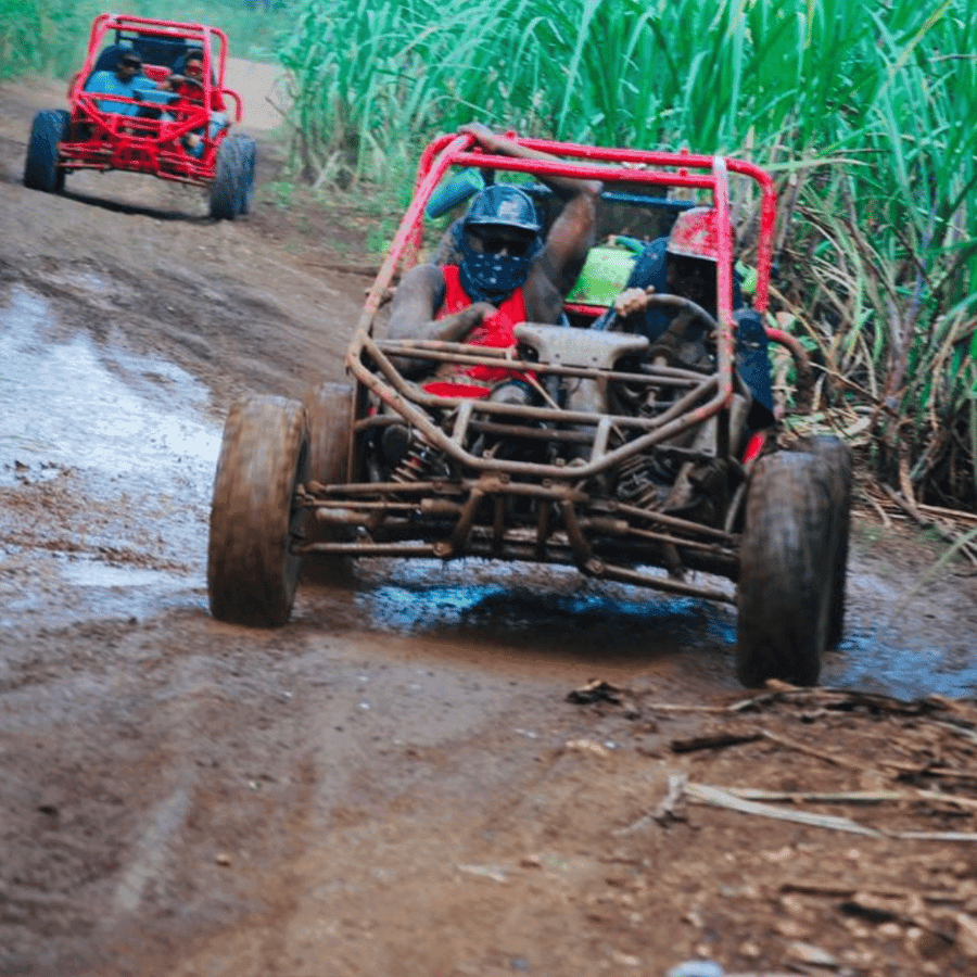 From Bayahibe: Half-day La Romana ATV or 4X4 Buggy Tour