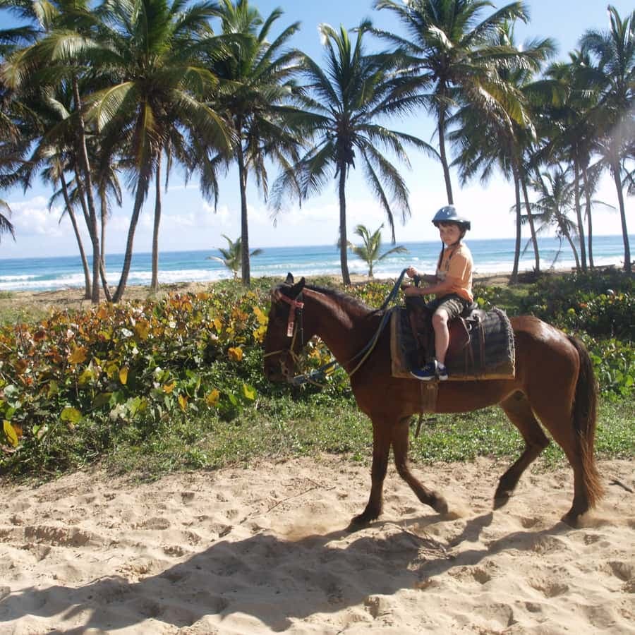 Punta Cana: Horseback Ride to Macao Beach - Dominican Republic