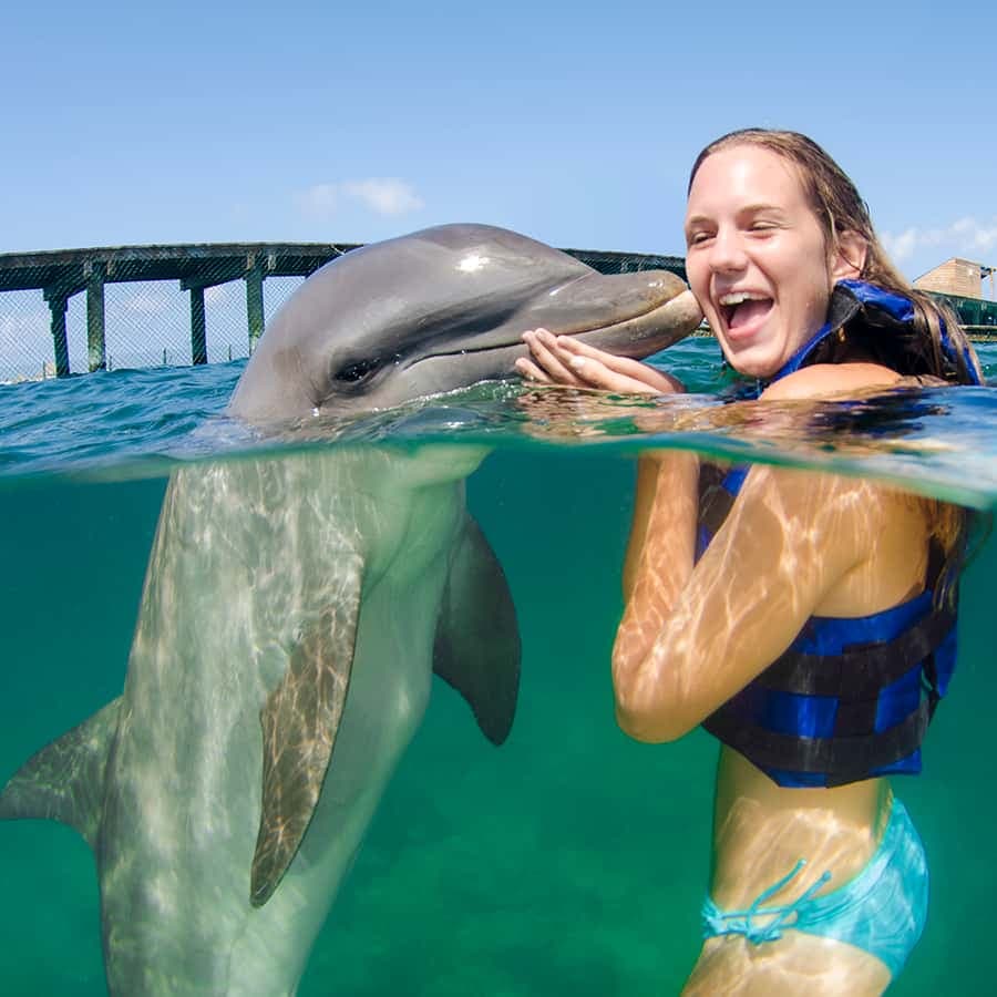 Punta Cana: Dolphin Explorer Swims and Interactions