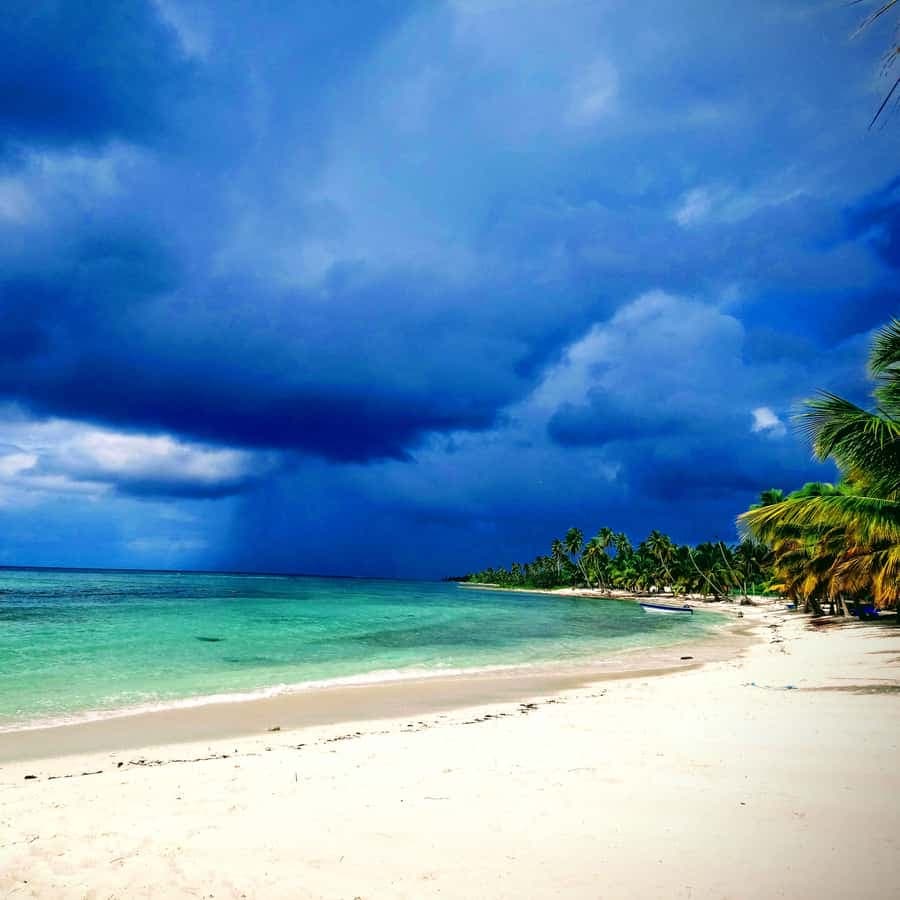 Saona Island: Small Group Virgin Beaches Cruise Day Trip