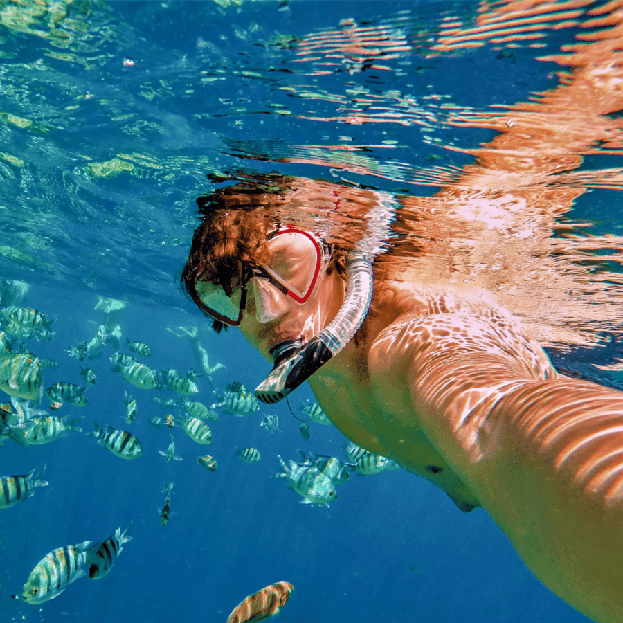 Catalina Island DayTrip + Great Snorkeling