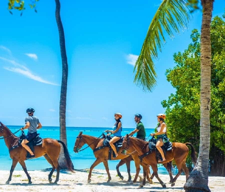 Swim Horse fom Punta Cana