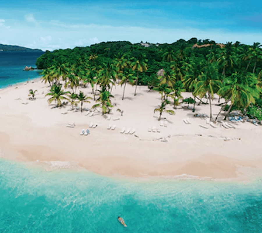 From Punta Cana: Samana Full Day Trip by Bus and Boat