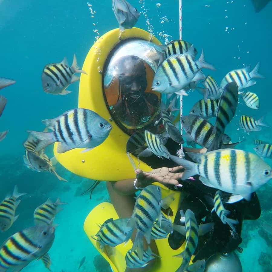 Punta Cana: Scubadoo Ocean Exploration Diving Adventure