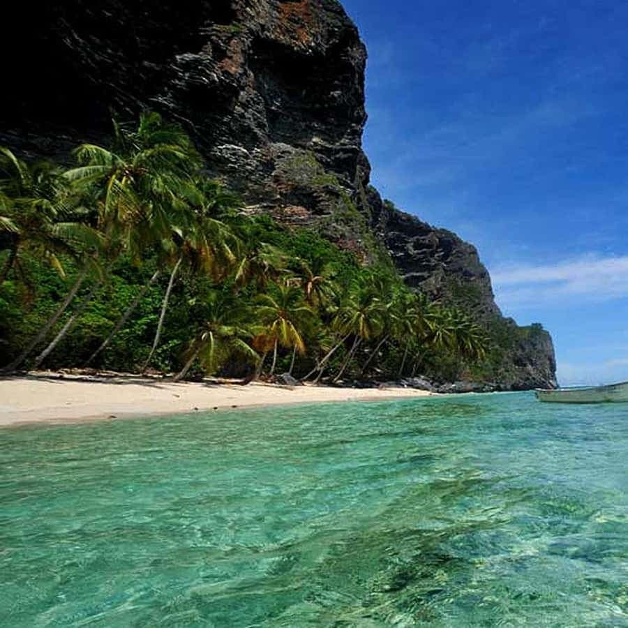 From Punta Cana: Samana Bay Private Whale Watching Cruise