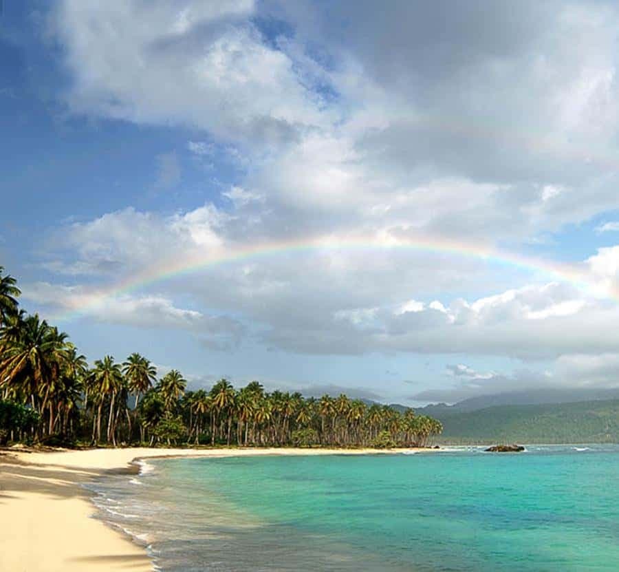 From Punta Cana: Whale Watching and Beaches Day Trip