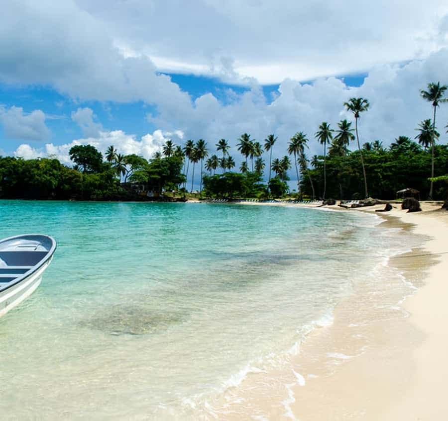 From Punta Cana: Whale Watching and Beaches Day Trip