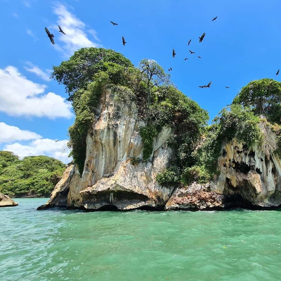 Punta Cana to Los Haitises Tour + Cayo Levantado & Montaña Redonda