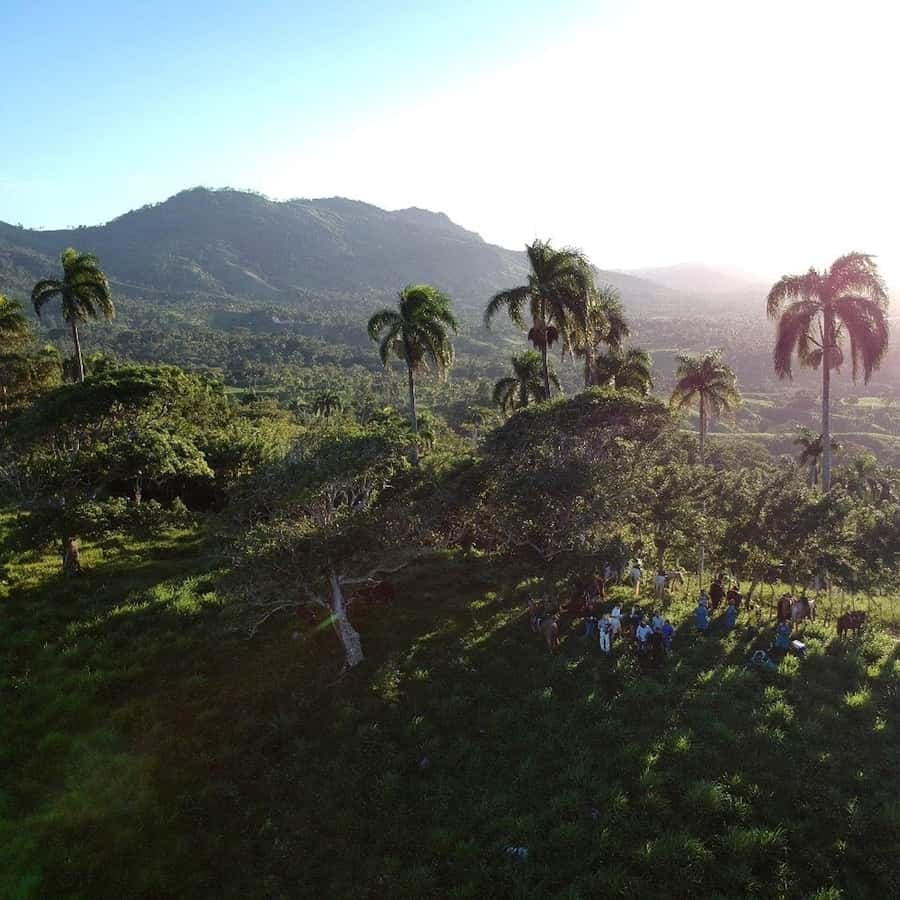 Punta Cana: Anamaya Mountains Walking Tour with Tasting