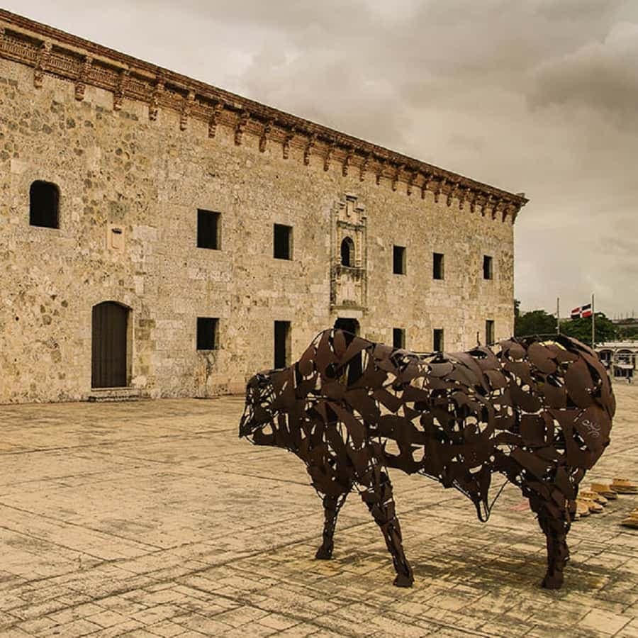 Santo Domingo Runner from Punta Cana