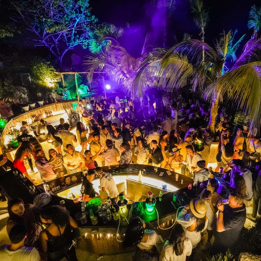 Punta Cana: Maroca Club Open Bar (Entry, Drinks & Transfers)