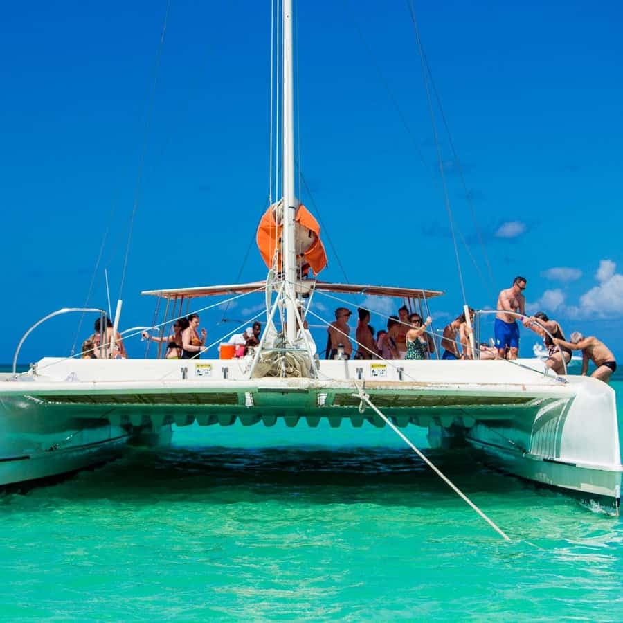 From Santo Domingo: Saona Island Catamaran Cruise with Lunch