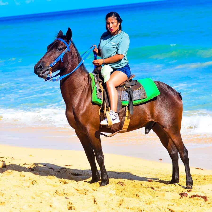 Punta Cana: Beach Sunset Horseback Riding with Hotel Pickup