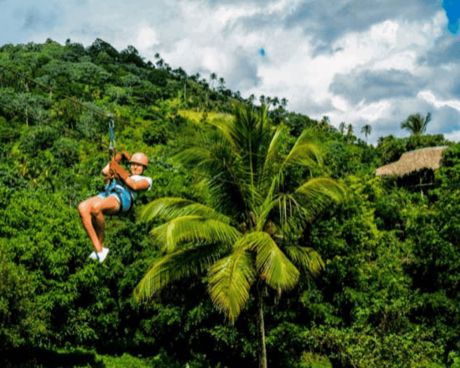 Rainforest Ziplining Adventure