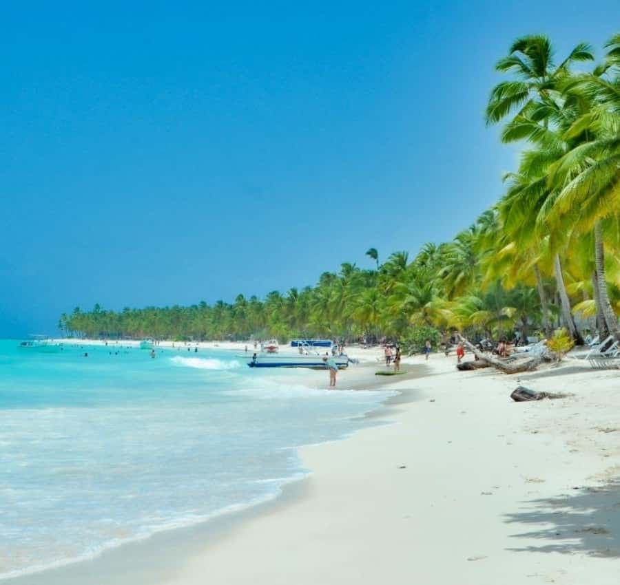 From Punta Cana: Saona Island Private Guided Catamaran Tour - Photo 1 of 5