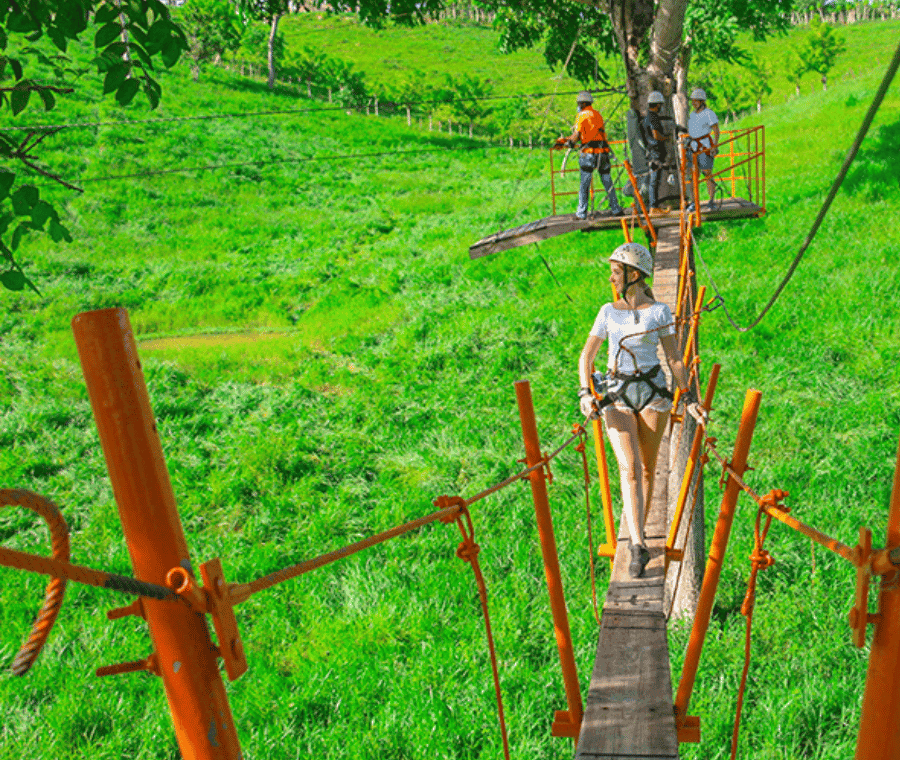 Punta Cana: Half-Day Zipline Tour