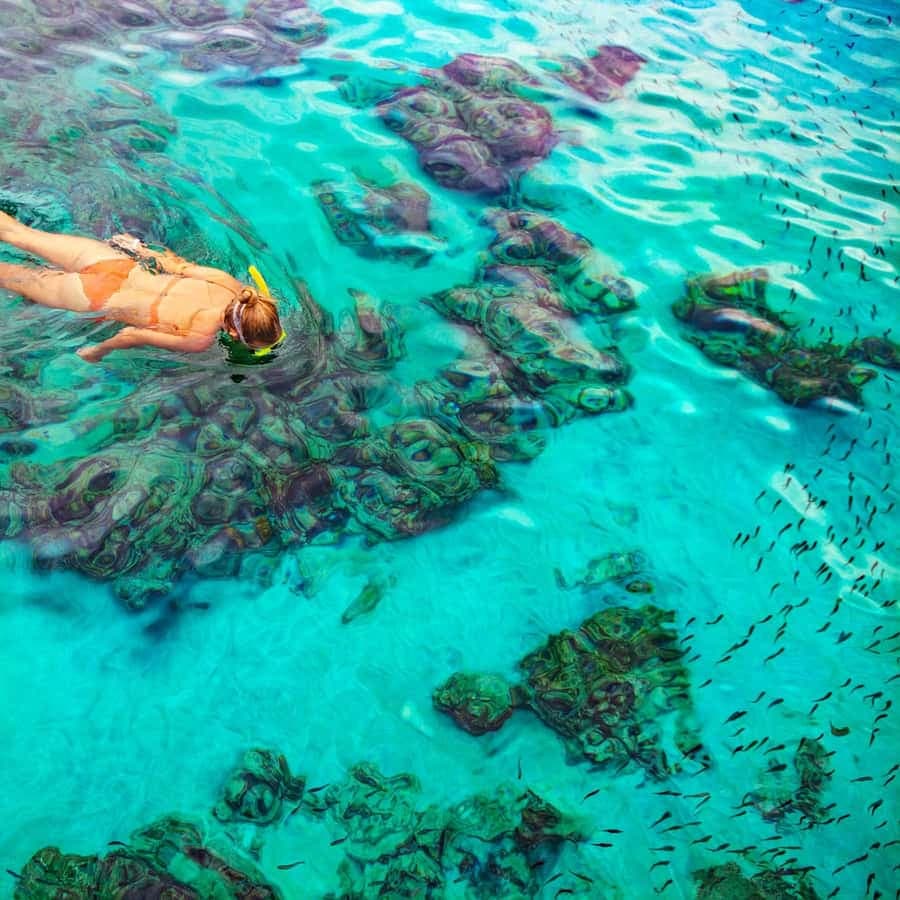 Bayahibe: Snorkeling Tour - Sea, Cotubanama park & Cenotes