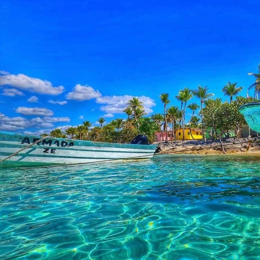 Punta Cana: Full-day Snorkelling Tour in Catalina Island