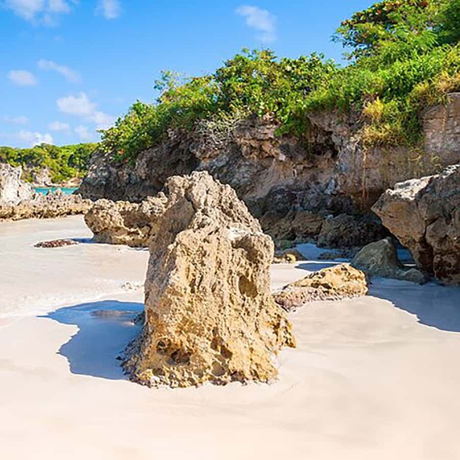 Punta Cana: Safari Outdoor Adventure with Hotel Pickup