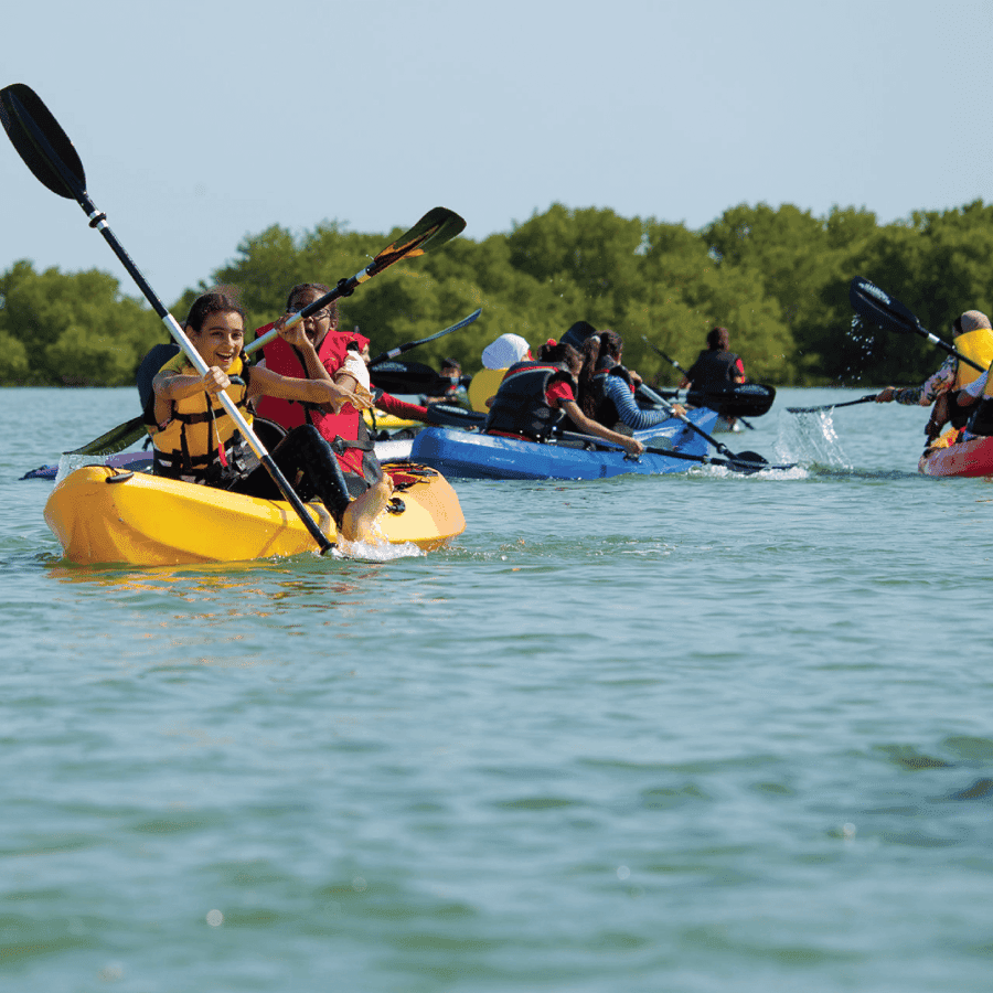 Punta Cana: Los Haitises Hike & Kayaking Mangroves