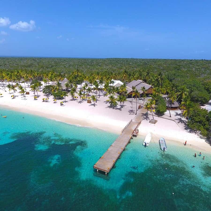 Bayahibe: Catalina Island Scuba Diving Tour with Lunch