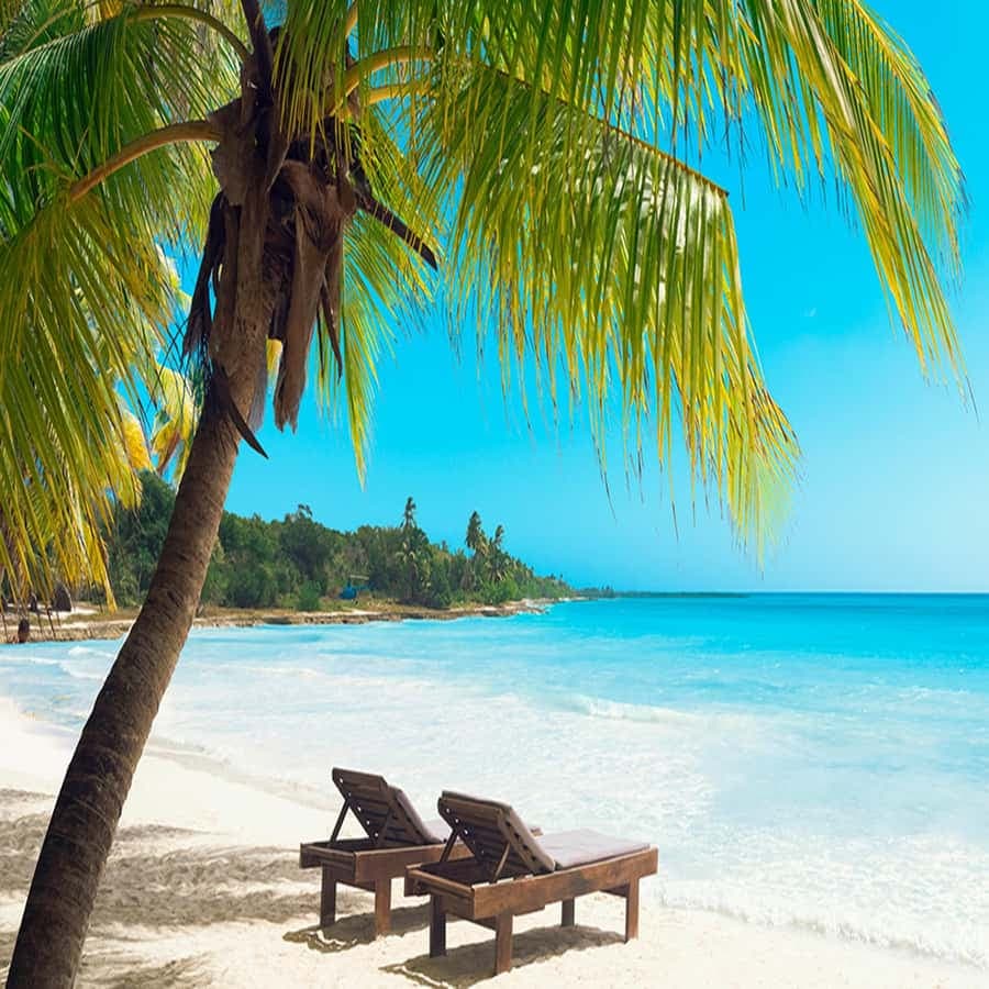 Juan Dolio: Saona Island Full-Day Tour with Lunch and Drinks - Dominican Republic
