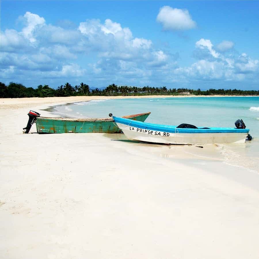 From Santo Domingo: Saona Island Catamaran Cruise with Lunch