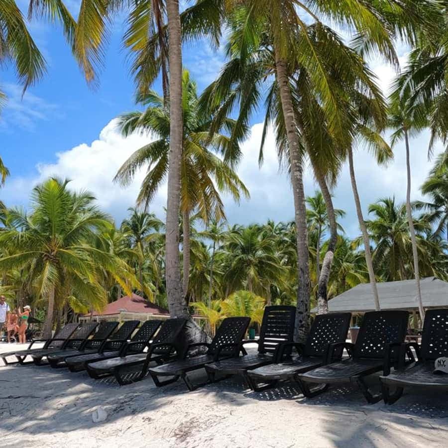 Juan Dolio: Saona Island Full-Day Tour with Lunch & Drinks