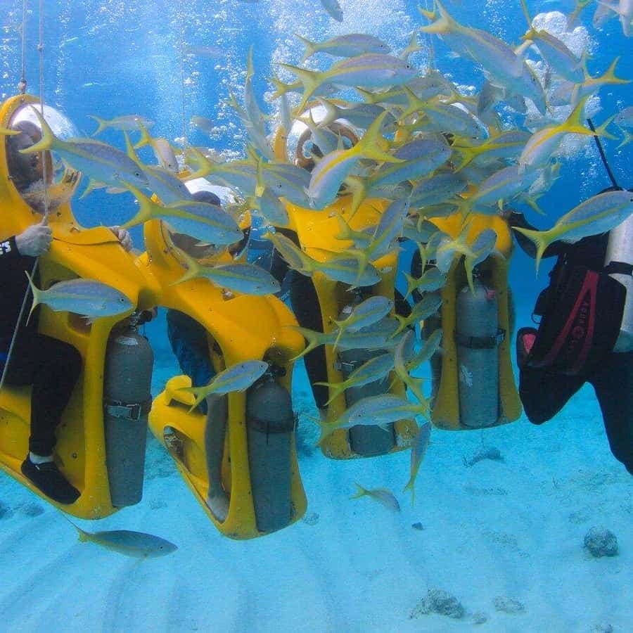 Scubadoo Punta Cana Diving Adventure