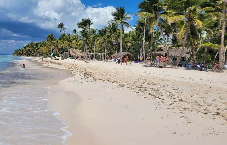 Isla Saona Day Trip From Santo Domingo with Lunch - Dominican Republic