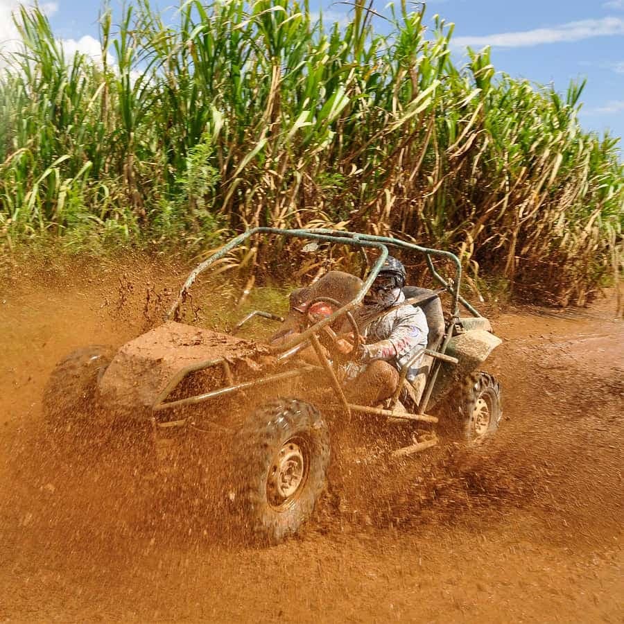 Punta Cana: Macao Beach Buggy Tour