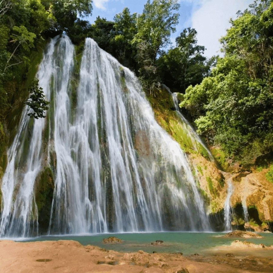Punta Cana: Samana Cayo Levantado & Limón Waterfall