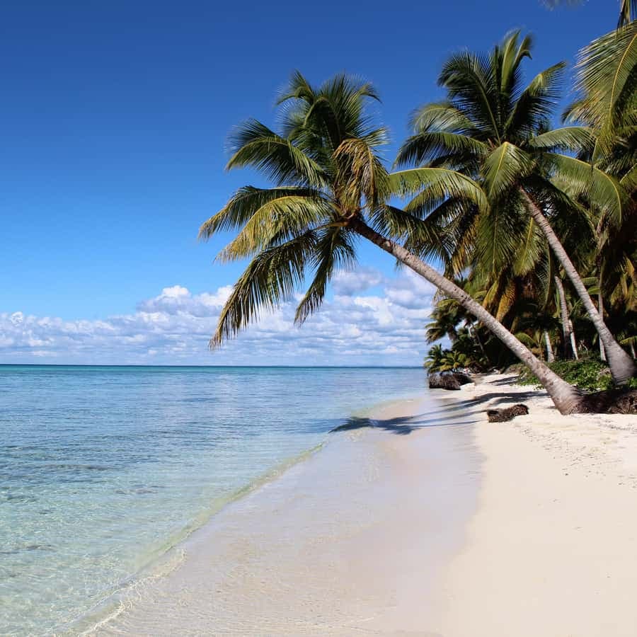 Saona Island: Full-Day Tour with Speedboat and Catamaran