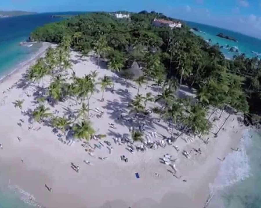 From Bayahibe: Samanà Whale Watching and Bacardi Island Tour