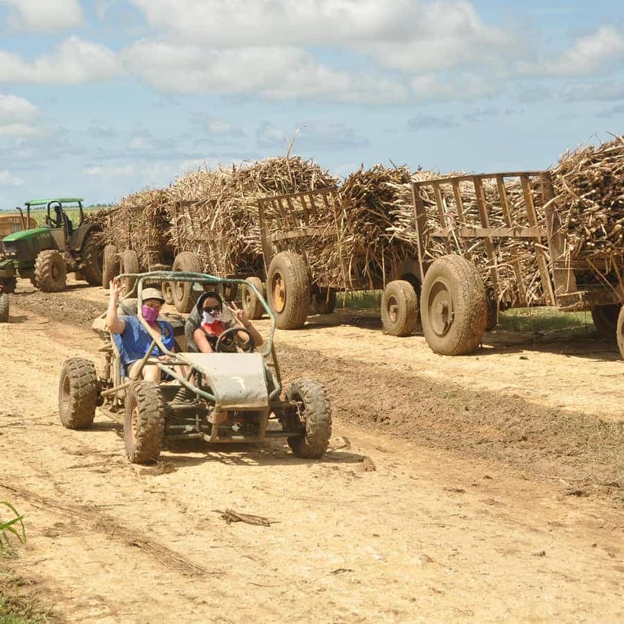 Bayahibe: Buggy and Horseback Riding Tour