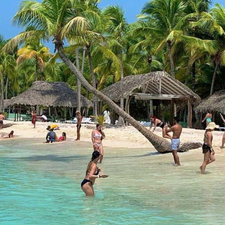 Bavaro: Saona Island Speedboat Tour with Open Bar