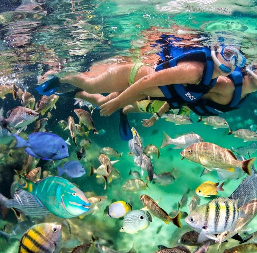 Glass Boat Adventure In Punta Cana