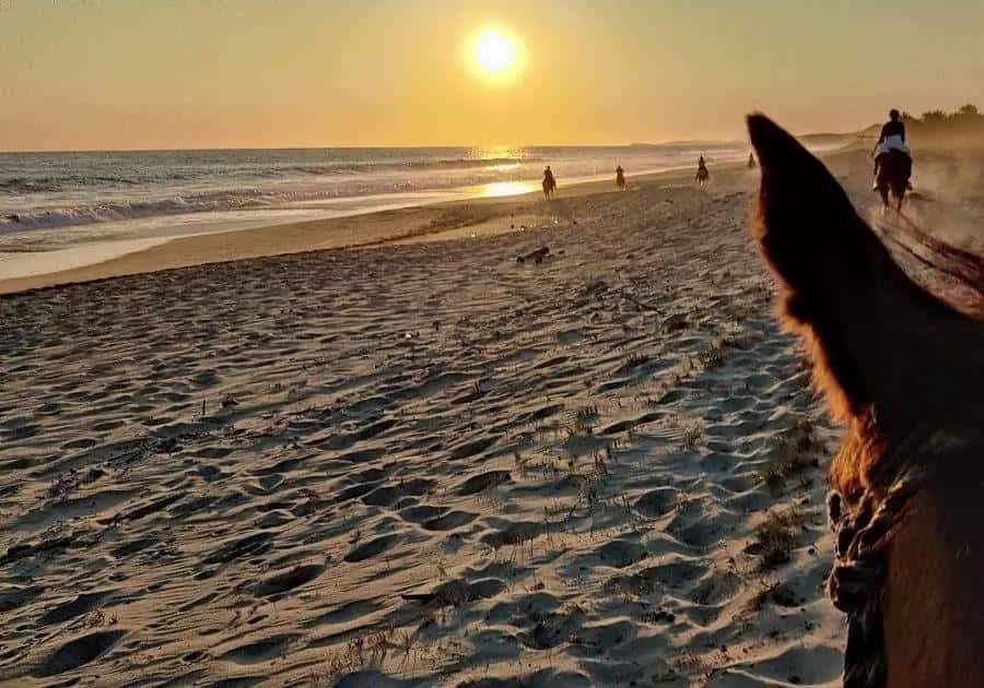 Coastal Trails & Culture: Horseback Sunset Experience