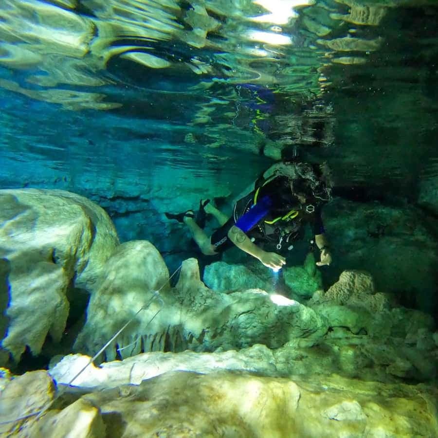 Punta Cana: Diving in Cavernes or Cenotes