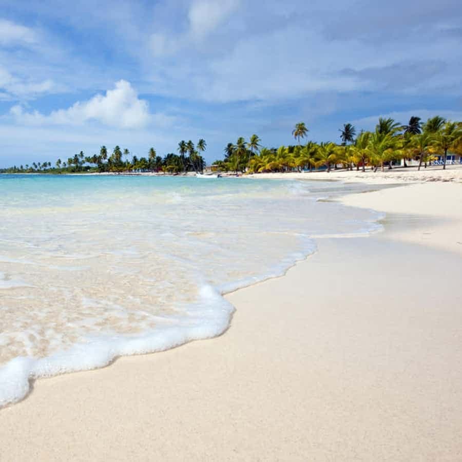 Santo Domingo: Saona Island Day Trip with Catamaran Ride - Dominican Republic