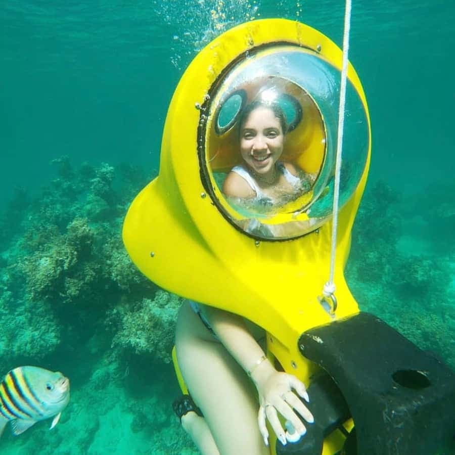 Punta Cana Scuba Doo: Discover Marine Life In a Fun Way (Copy)