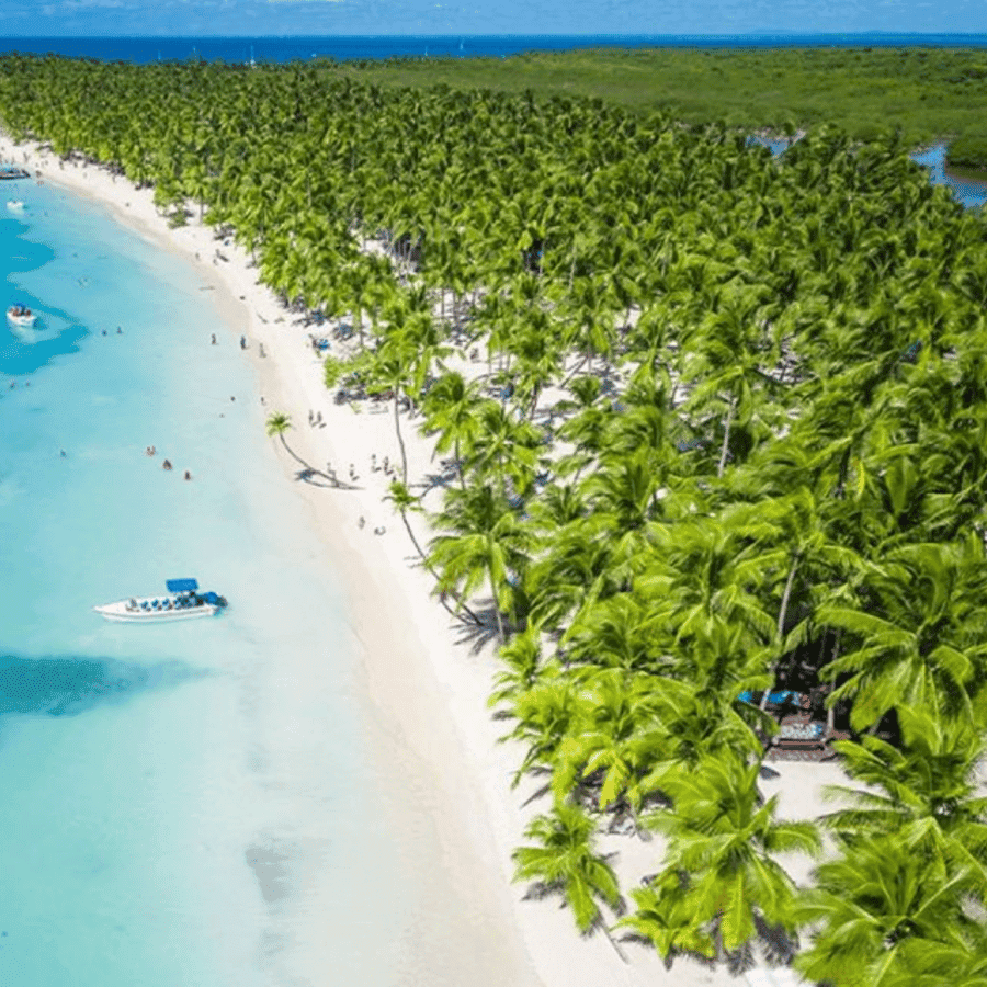 Catalina Island snorkeling Dominican Republic - Dominican Republic