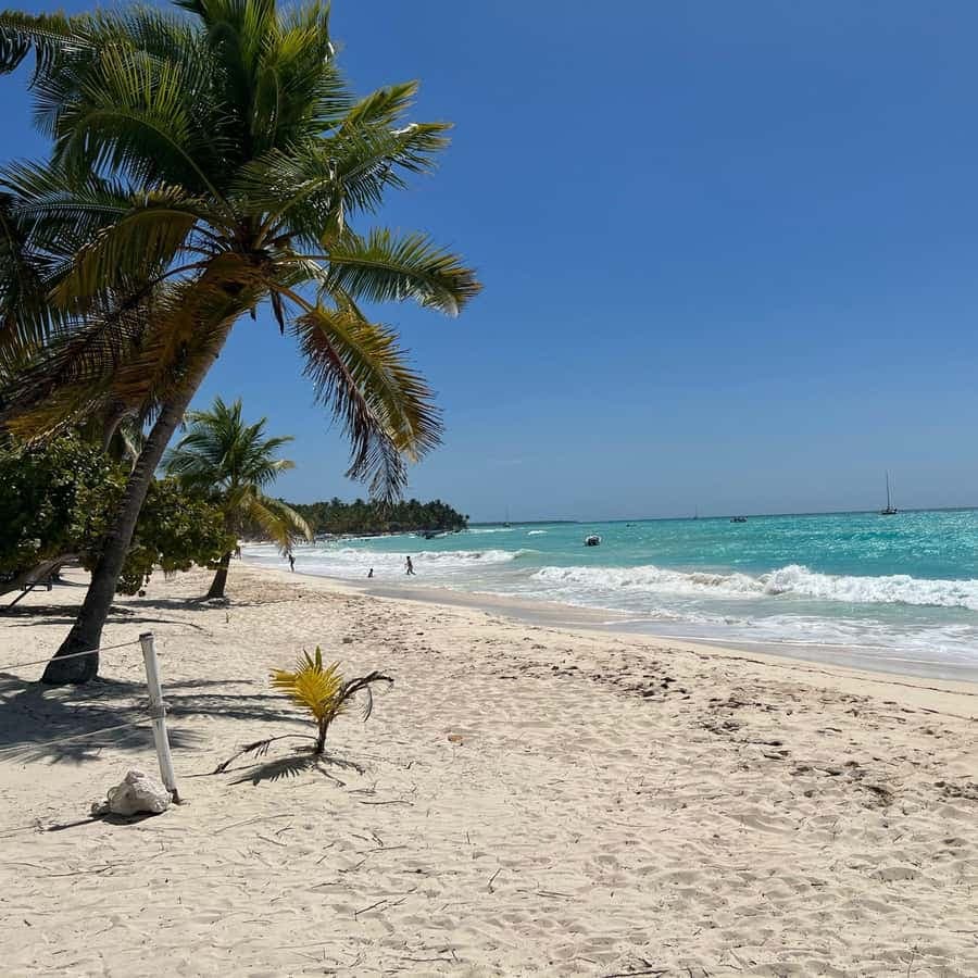 Saona Island & Chavon River Tour with Lunch & Drinks - Dominican Republic